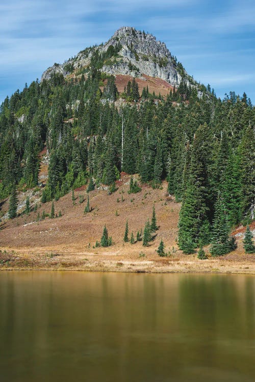 tipsoo lake golden glow
