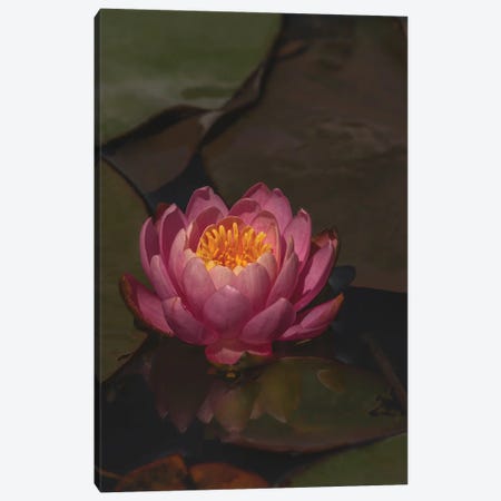 Water Lily Canvas Print #LRH48} by Louis Ruth Canvas Wall Art