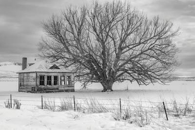 Abandon Black And White by Louis Ruth canvas print