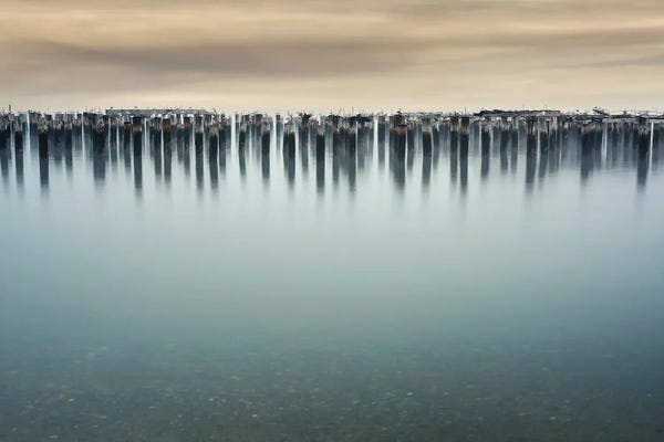 Louis Ruth: Transition by Louis Ruth