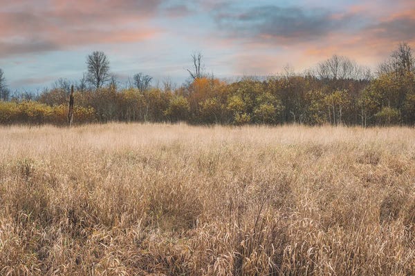 Louis Ruth: Harmony Of Light And Shadow by Louis Ruth