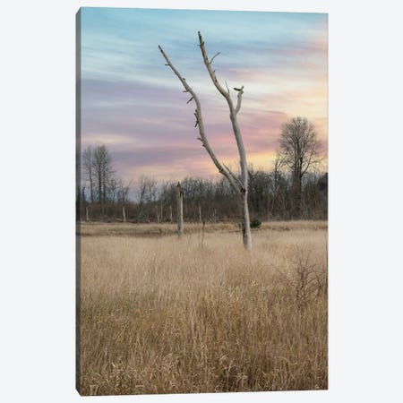 Nisqually Morning Light Canvas Print #LRH508} by Louis Ruth Canvas Artwork