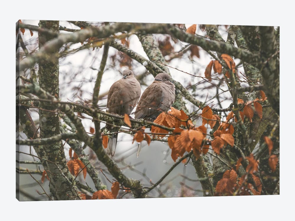 Winter Doves by Louis Ruth 1-piece Art Print