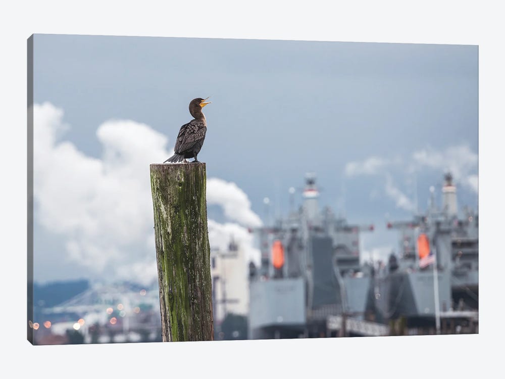 Cormorant Look Out by Louis Ruth 1-piece Canvas Wall Art