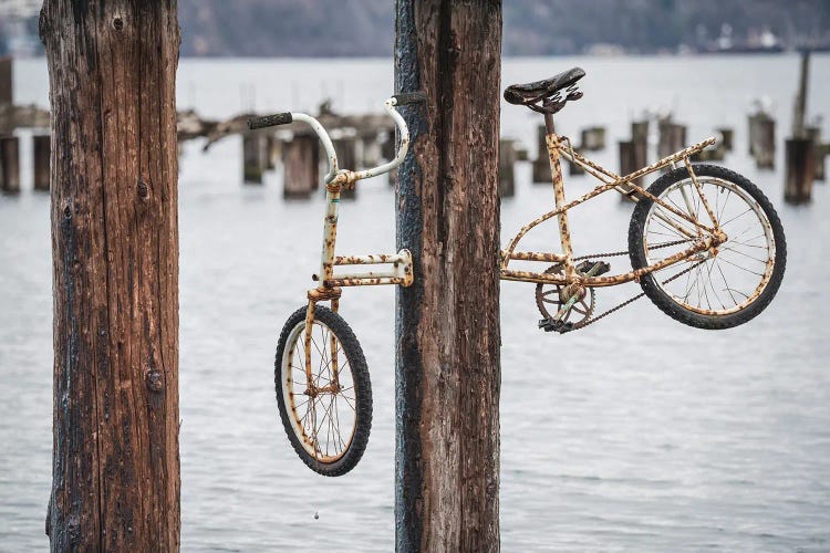 Caught Up by Louis Ruth wall art