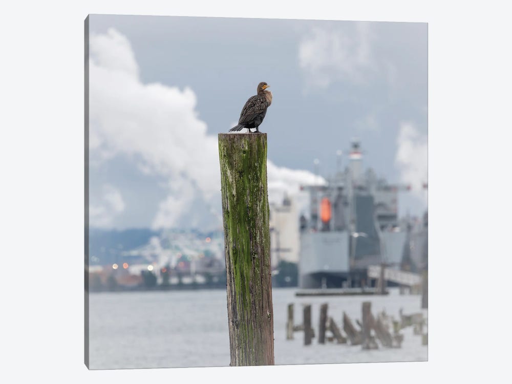 Perched Up High by Louis Ruth 1-piece Canvas Artwork