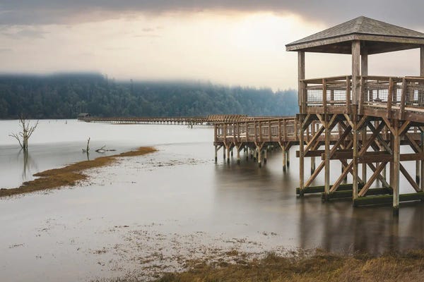 Louis Ruth: Nisqually Boardwalk by Louis Ruth