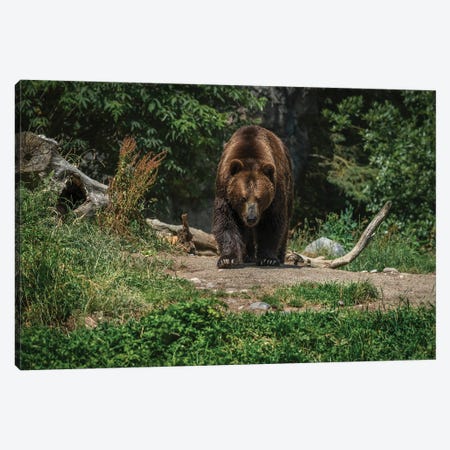 Im Coming For You Canvas Print #LRH53} by Louis Ruth Art Print
