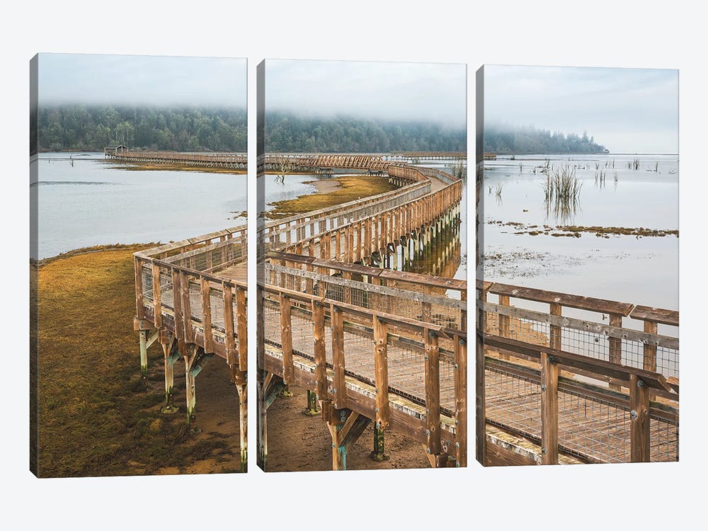 Beyond Nisqually by Louis Ruth 3-piece Art Print