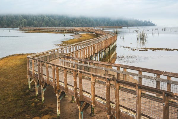 Louis Ruth: Beyond Nisqually by Louis Ruth