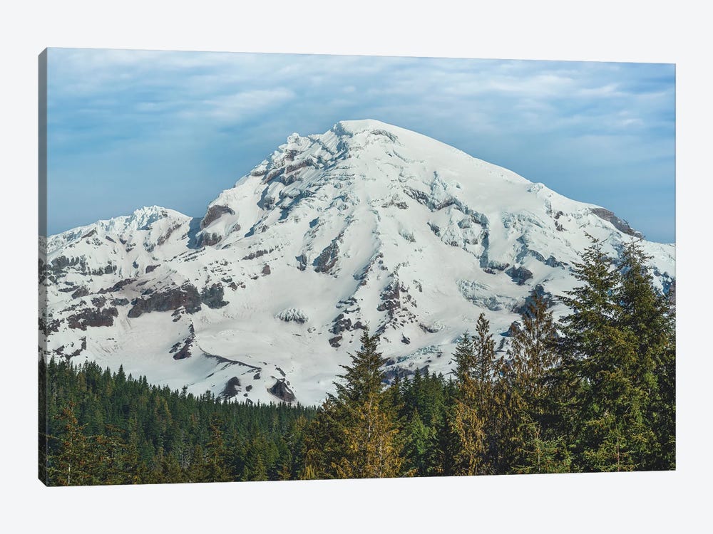 Mt Rainier At Longmire Canvas Wall Art by Louis Ruth | iCanvas