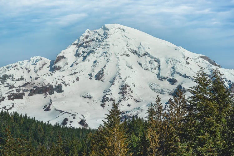 Mt Rainier At Longmire