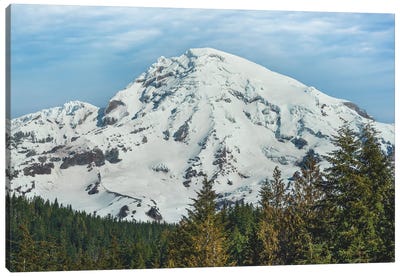 Mt Rainier At Longmire Canvas Art Print