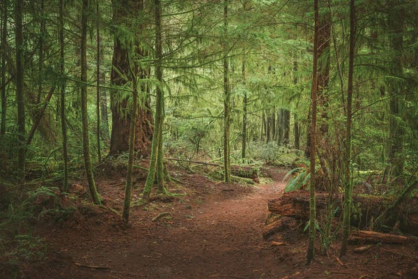 Louis Ruth: Into The Greens by Louis Ruth