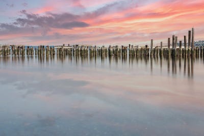 morning magic by Louis Ruth multi panel art