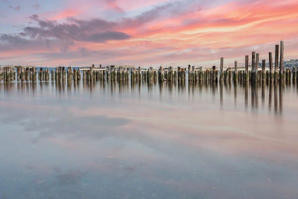 Louis Ruth: morning magic by Louis Ruth