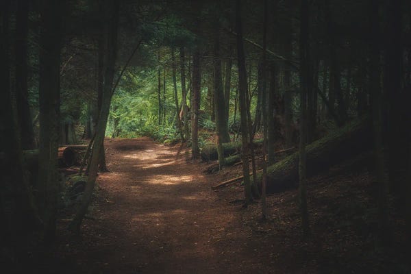 Louis Ruth: Walk Me Through by Louis Ruth