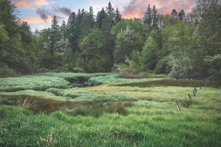 Sunrise At Woodard Creek