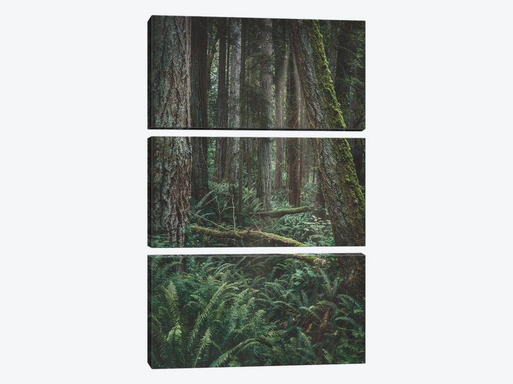 Transcend by Louis Ruth 3-piece Canvas Print