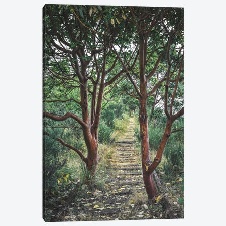Natures Takeover Canvas Print #LRH579} by Louis Ruth Canvas Art Print
