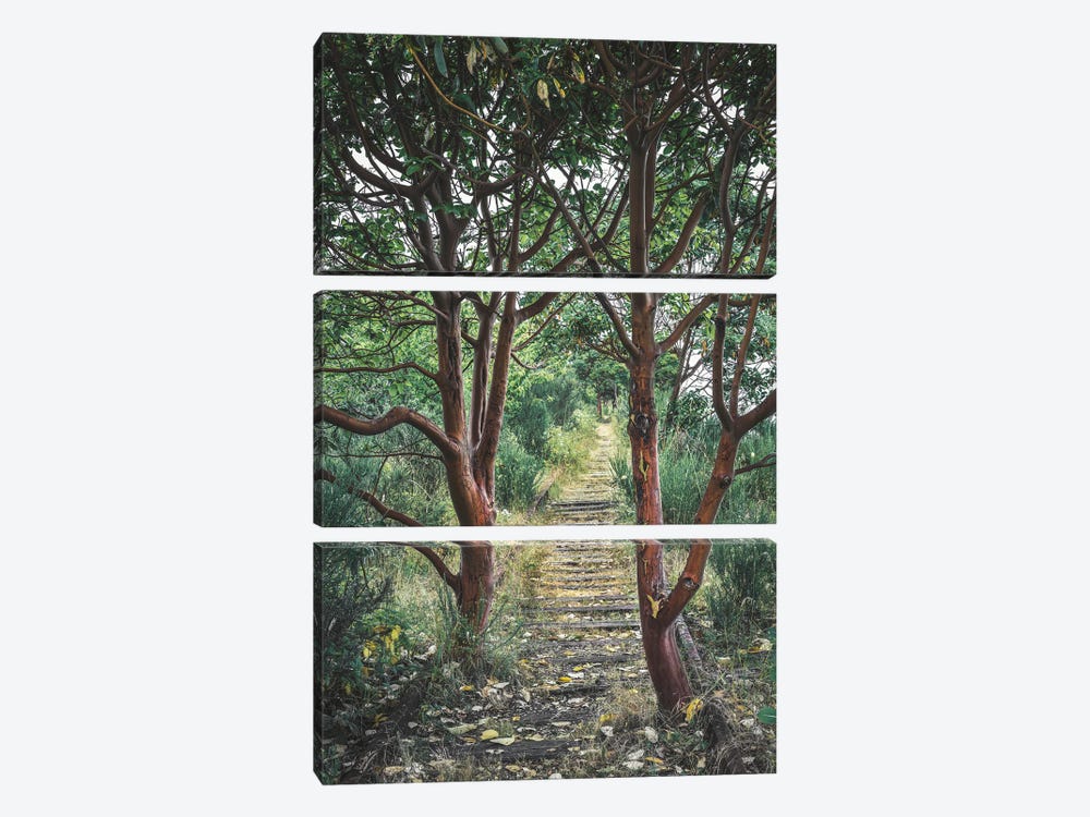 Natures Takeover by Louis Ruth 3-piece Canvas Artwork