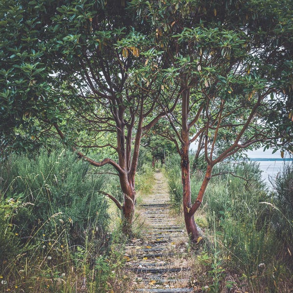 Louis Ruth: Poetry by Louis Ruth