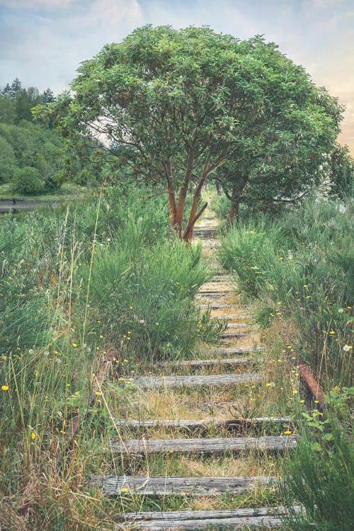 A Walk In Time by Louis Ruth wall art