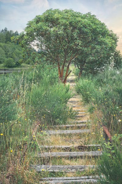 Louis Ruth: A Walk In Time by Louis Ruth