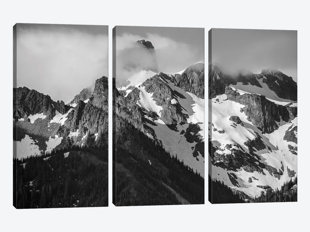 Elements In Black & White by Louis Ruth 3-piece Canvas Wall Art