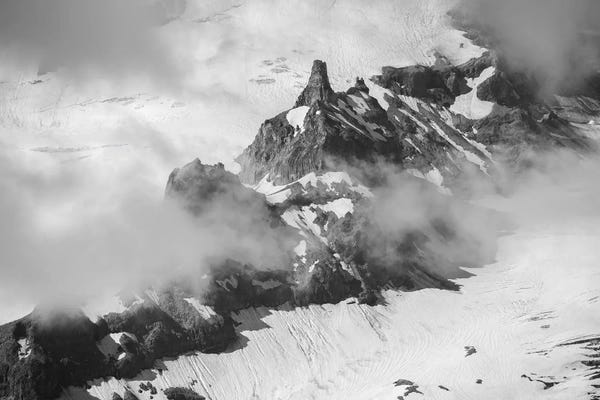 Louis Ruth: Revealing by Louis Ruth