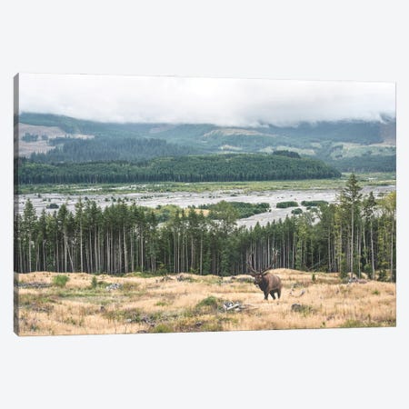 At The Forest Edge Canvas Print #LRH599} by Louis Ruth Canvas Print