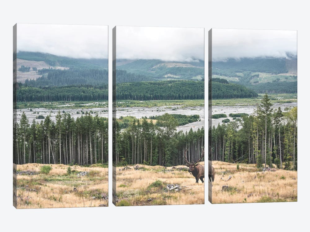 At The Forest Edge by Louis Ruth 3-piece Canvas Wall Art
