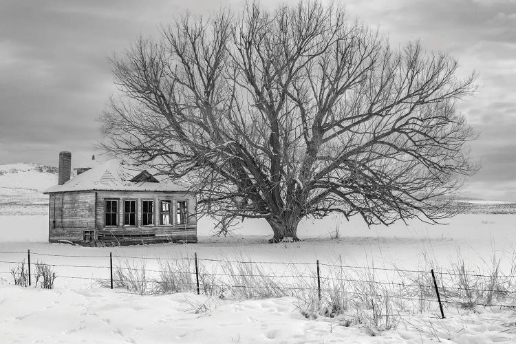 Abandon Black And White