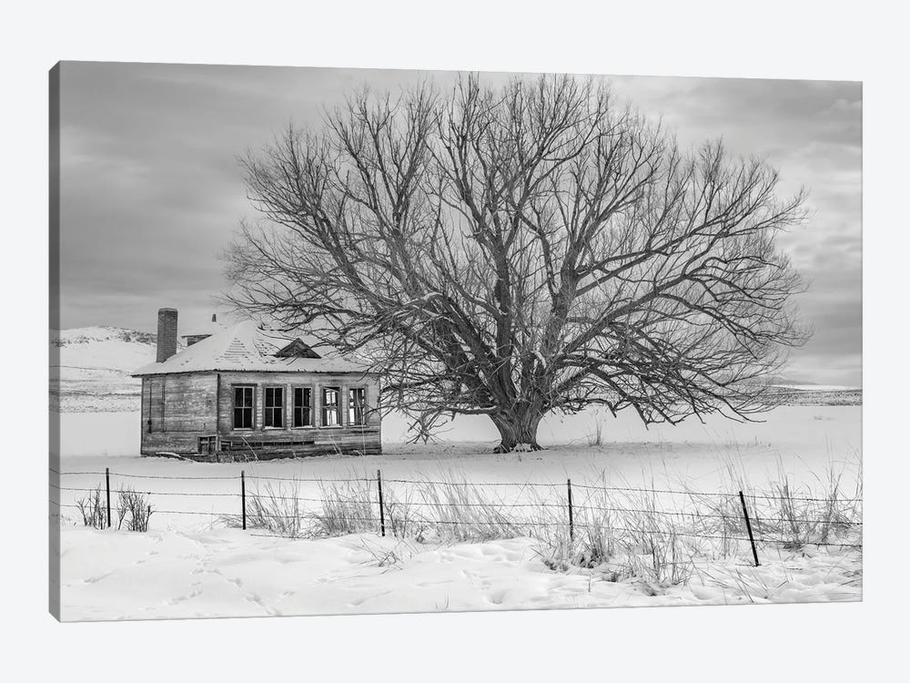 Abandon Black And White by Louis Ruth 1-piece Art Print