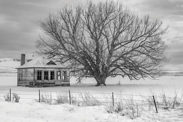 Abandon Black And White