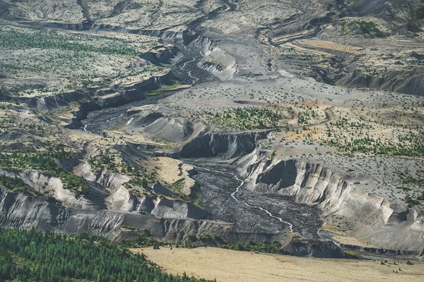 Louis Ruth: Natures Path by Louis Ruth