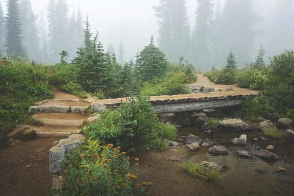 Louis Ruth: Find Your Path by Louis Ruth