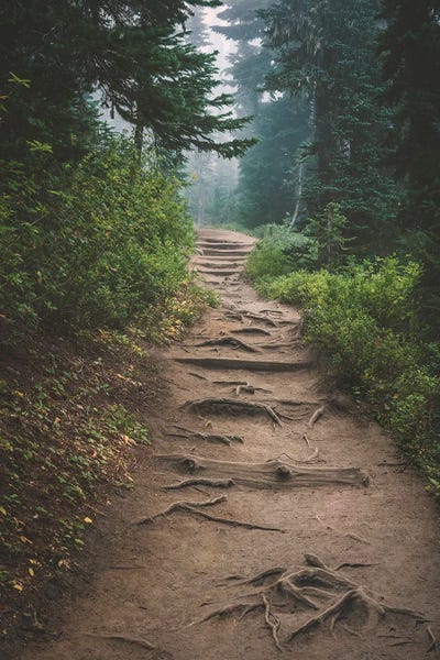 Louis Ruth: Feel The Burn by Louis Ruth