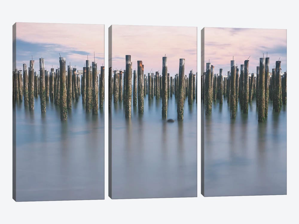 Deeply Anchored by Louis Ruth 3-piece Canvas Artwork