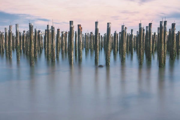 Louis Ruth: Deeply Anchored by Louis Ruth