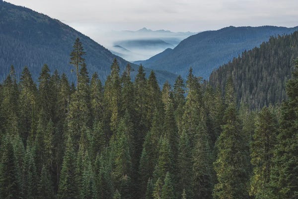Louis Ruth: The Mountains Are Calling by Louis Ruth