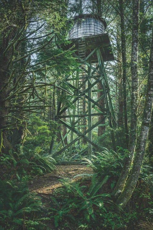Bells Water Tower by Louis Ruth wall art