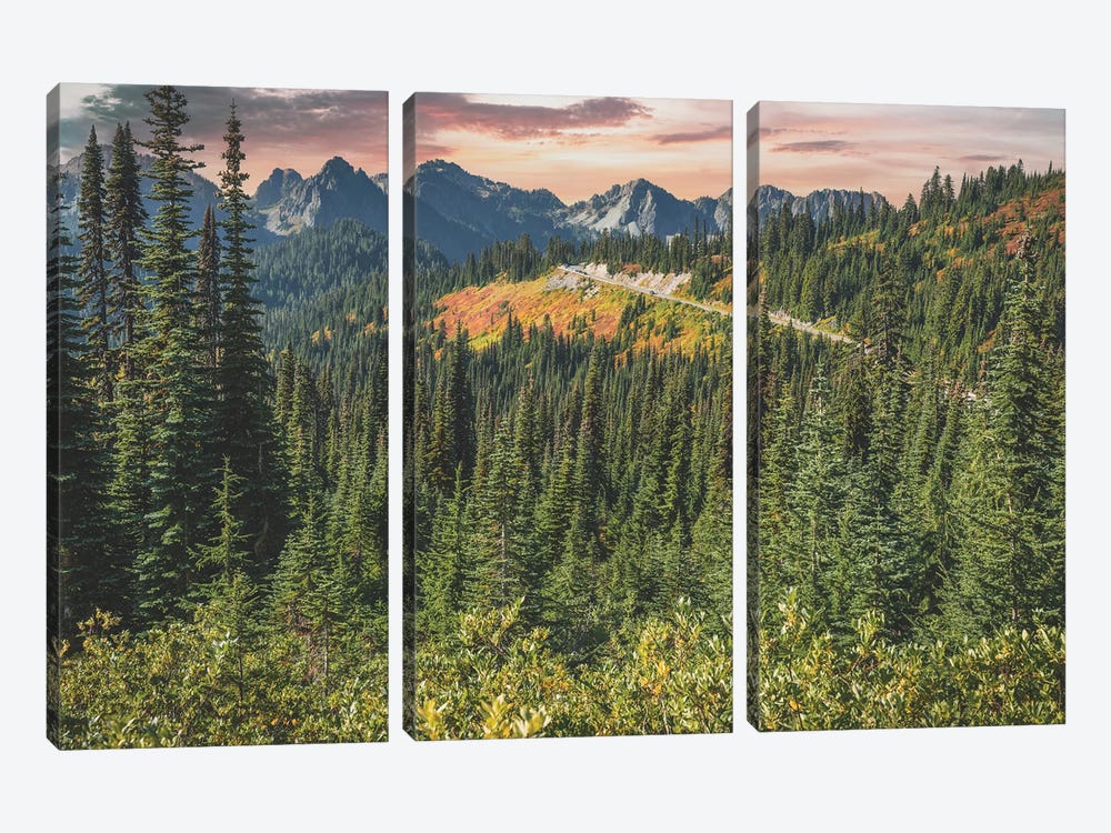 Mount Rainier Paradise by Louis Ruth 3-piece Canvas Art Print