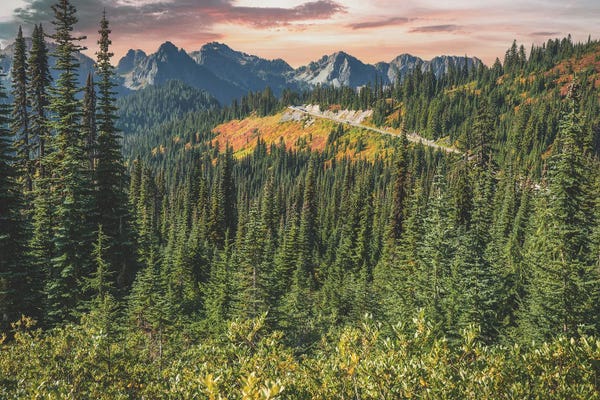 Louis Ruth: Mount Rainier Paradise by Louis Ruth