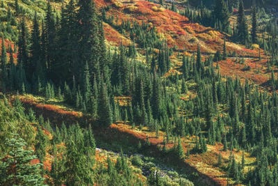 Autumn Beauty Season by Louis Ruth framed canvas print
