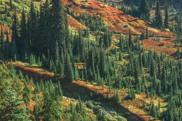 Louis Ruth: Autumn Beauty Season by Louis Ruth