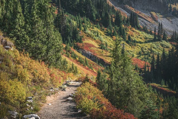 Louis Ruth: Walk On By by Louis Ruth