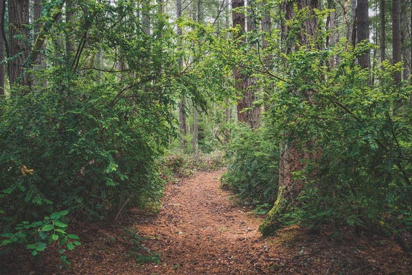Louis Ruth: The Call Of The Trail by Louis Ruth