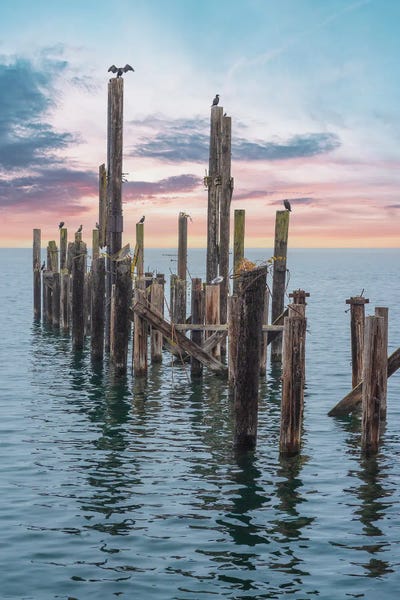 Louis Ruth: The Gathering by Louis Ruth