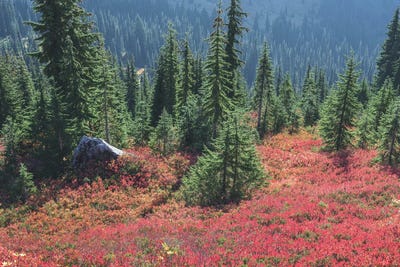 Colors Of Fall by Louis Ruth canvas print